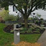 a garden bed around a tree